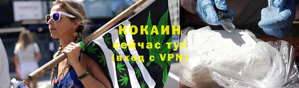 spice Вяземский