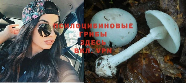 амф Вязьма