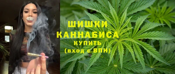 spice Вяземский